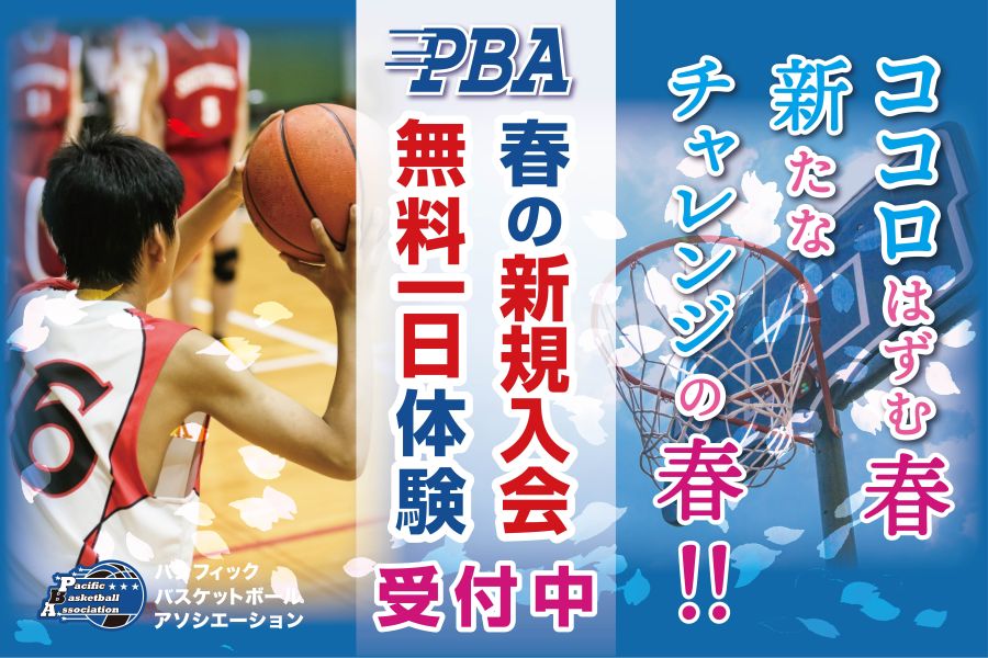 ��������̌�