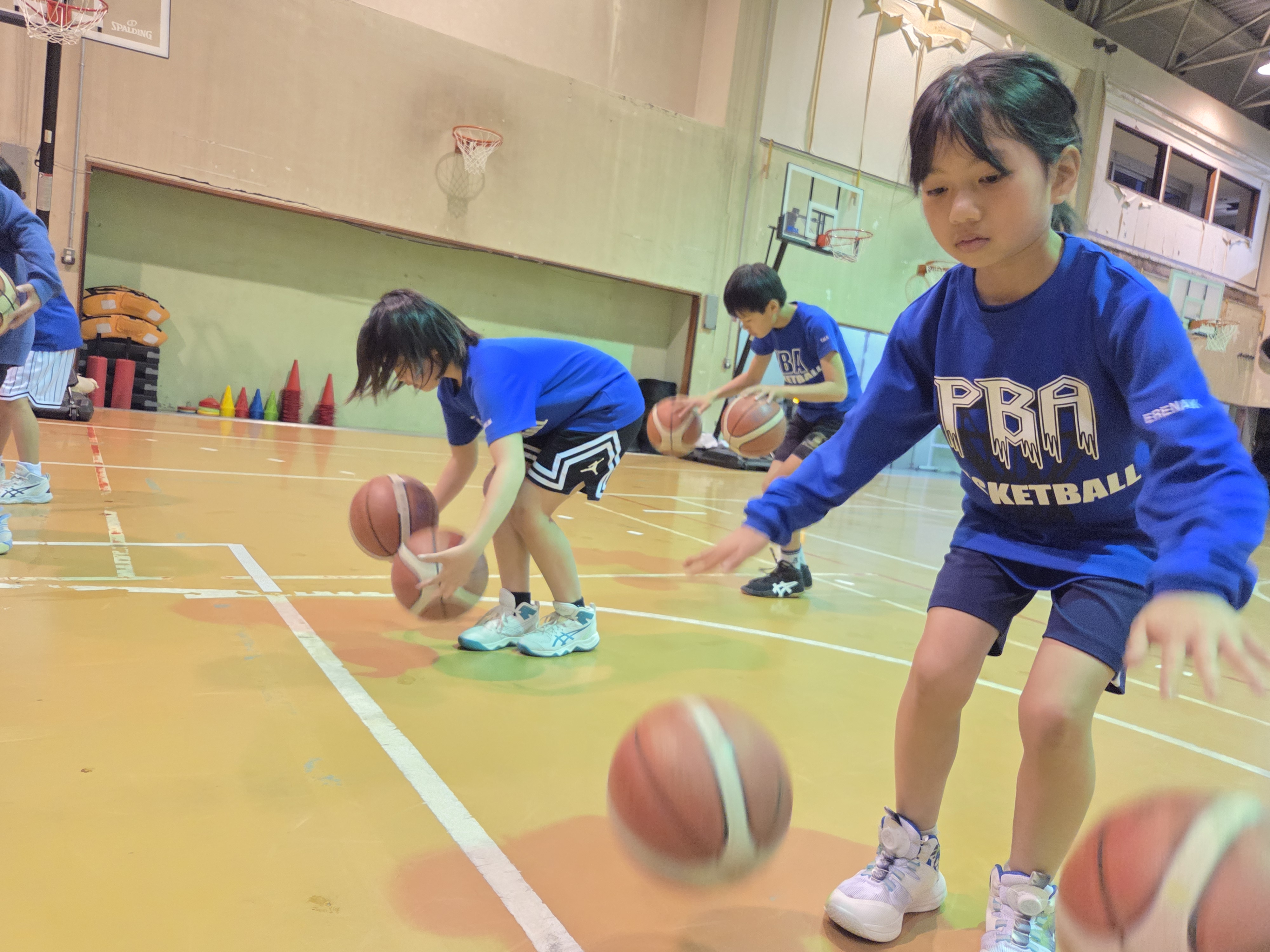 ��������̌�